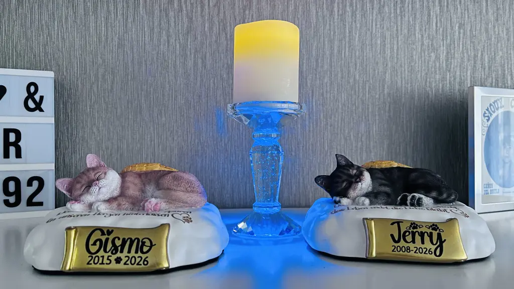 Gismo &Jerry