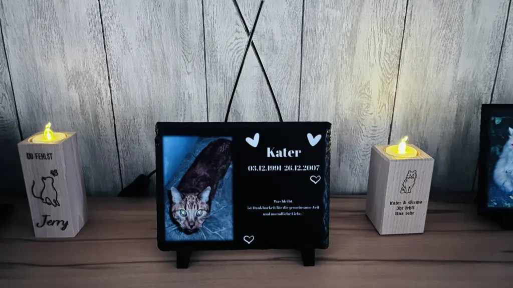 Kater