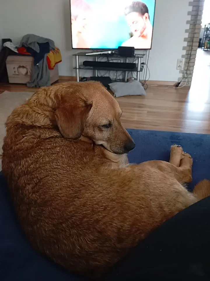 Bild von Ronja