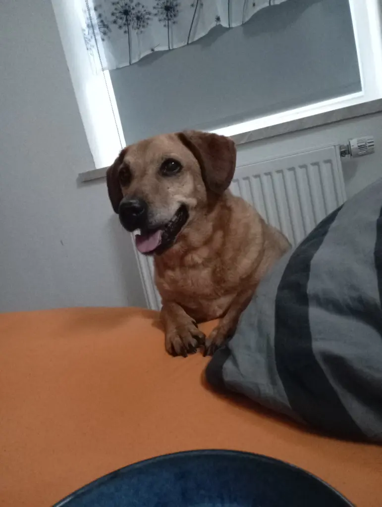 Bild von Ronja
