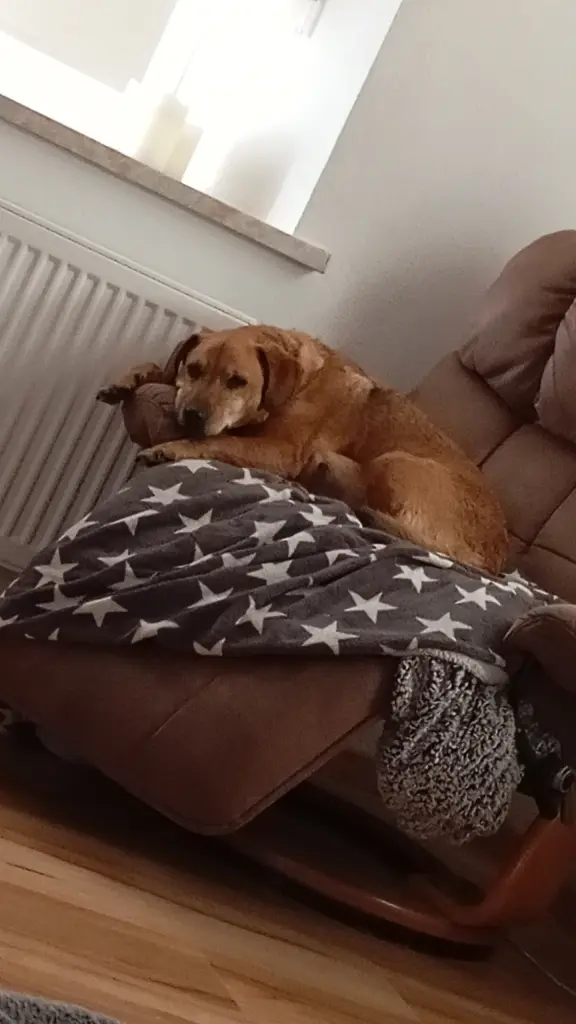 Bild von Ronja