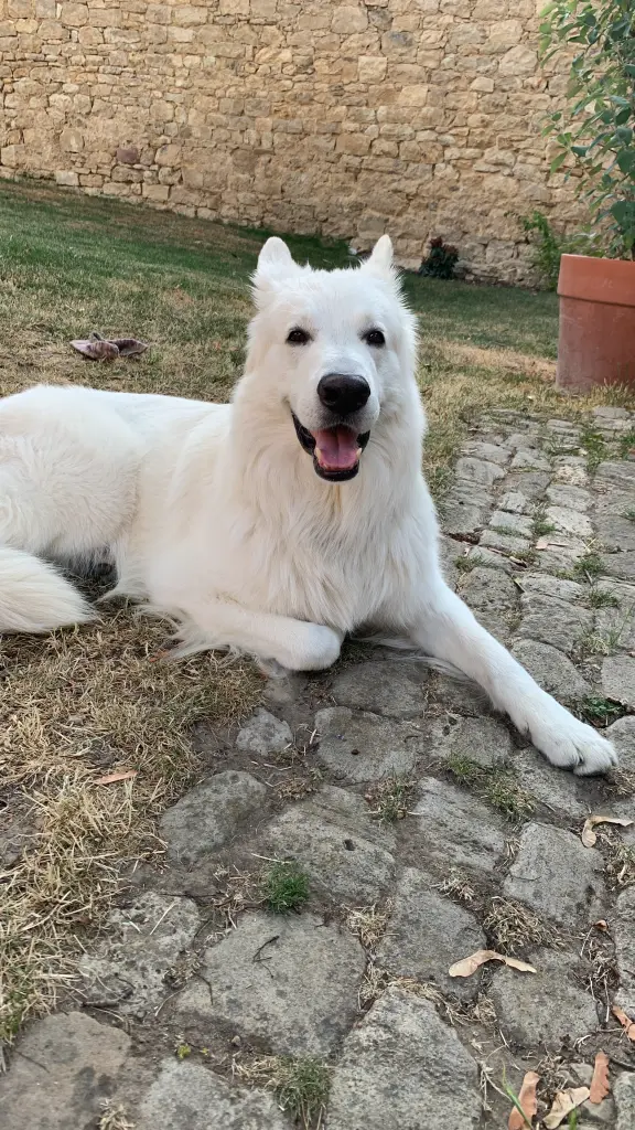 Bild von Nannu