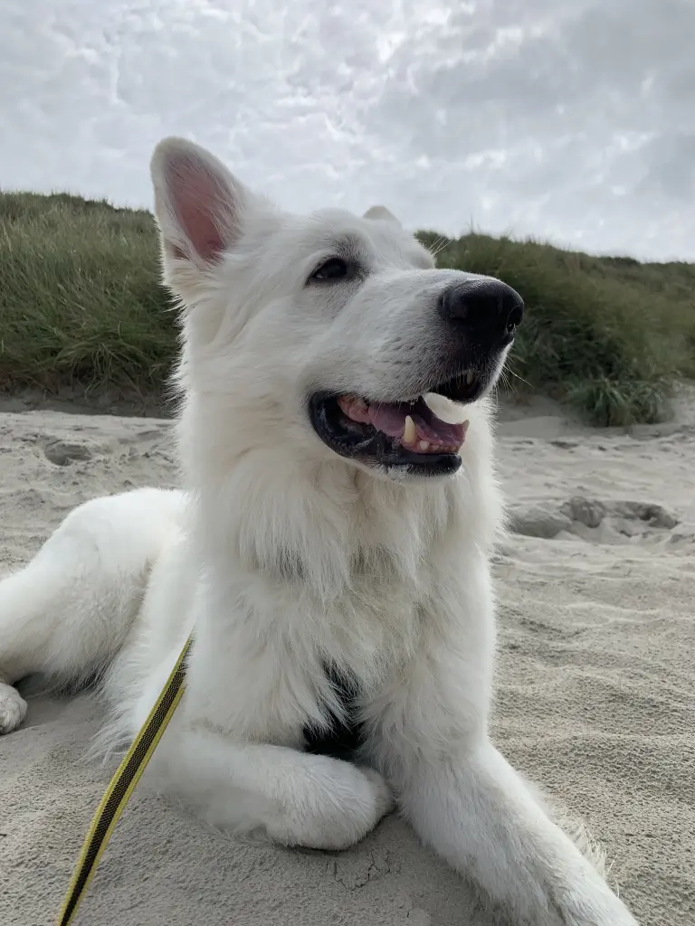Bild von Nannu