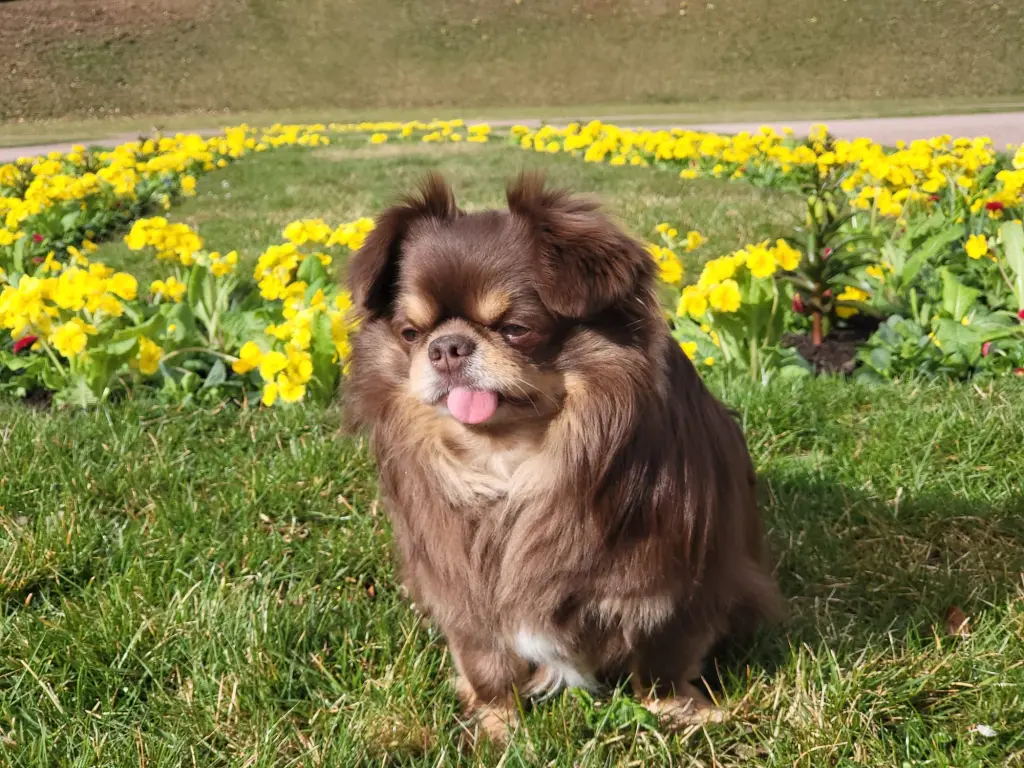 Eugen bei dem Blumen,die hatte er gerne