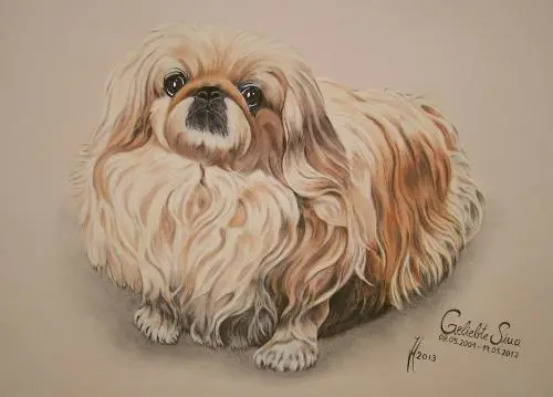 Image from ? das treuste liebste Engelchen ?