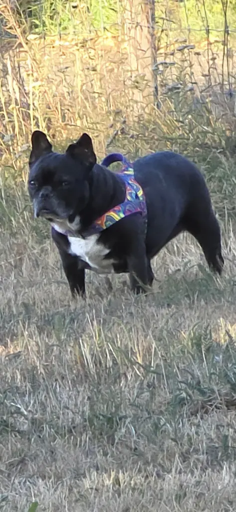 Bild von Sally