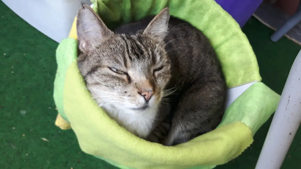 Image from Garfield