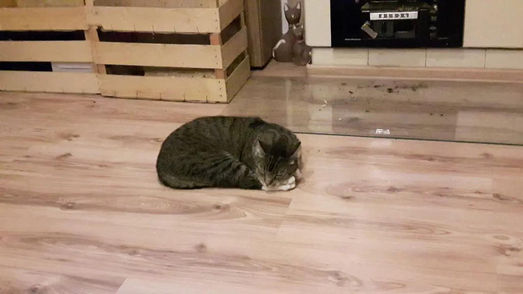 Image from Garfield