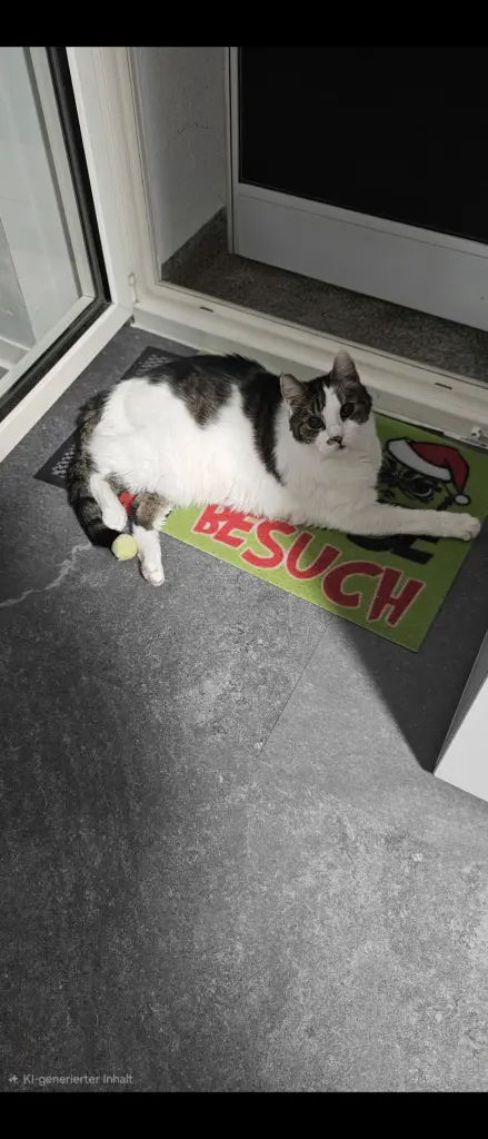 Bild von Maicky