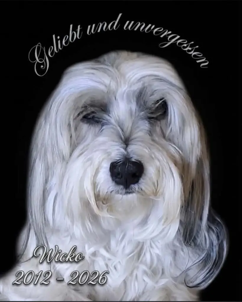 Bild von Wicko