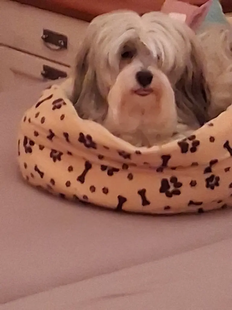Bild von Wicko