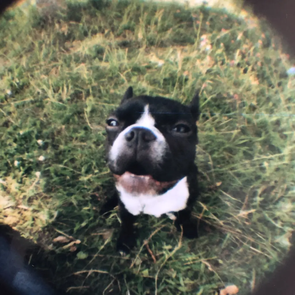 Bild von Spocky