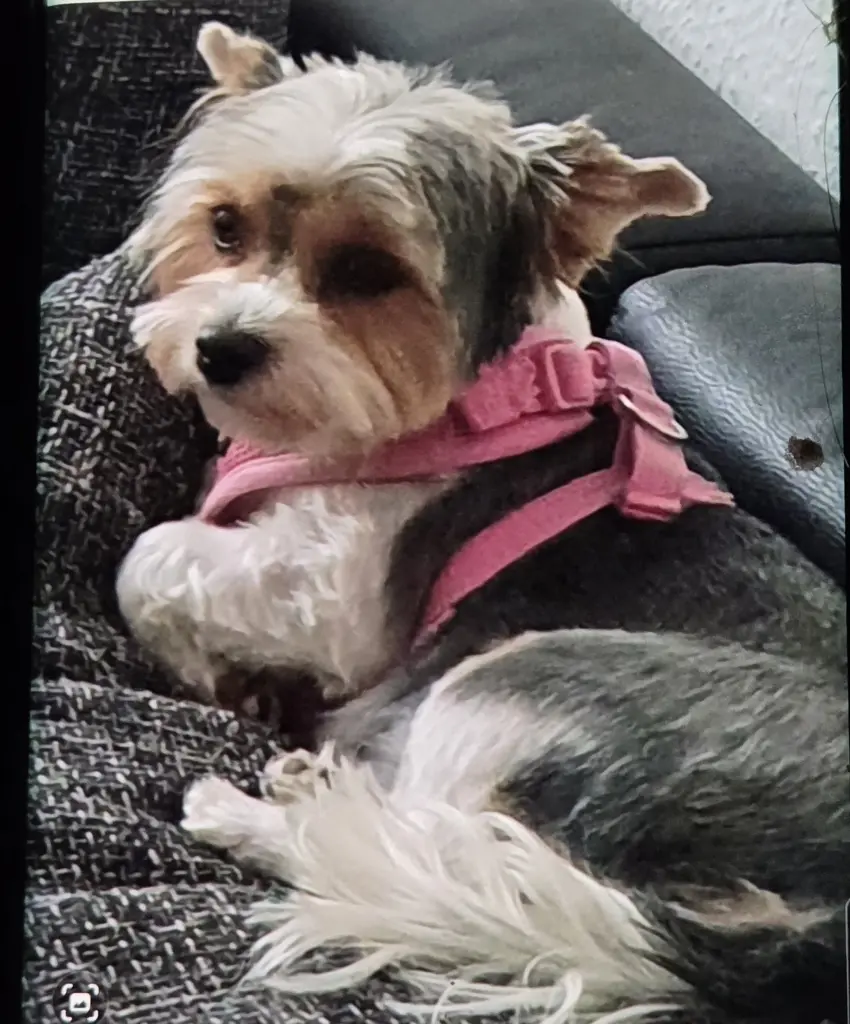 Bild von Samantha