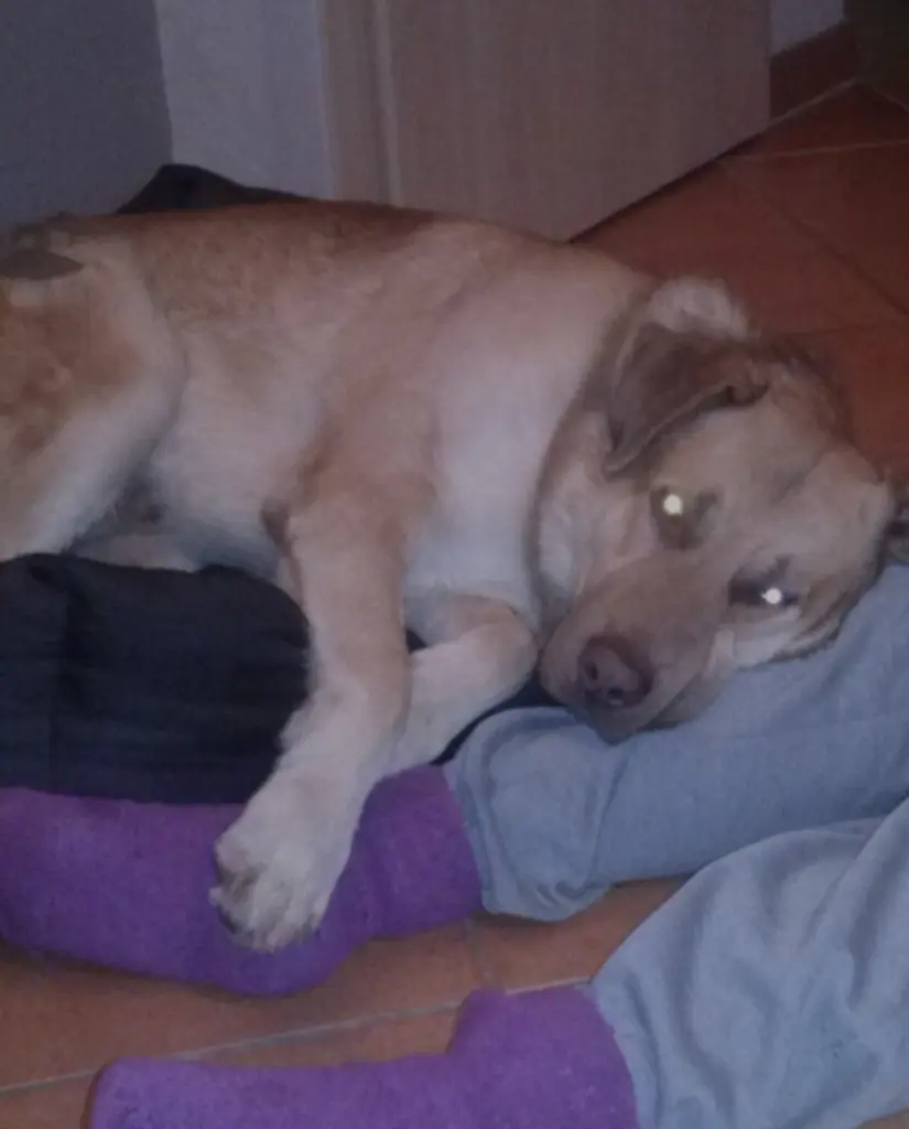 Condolence image of Jeannette 