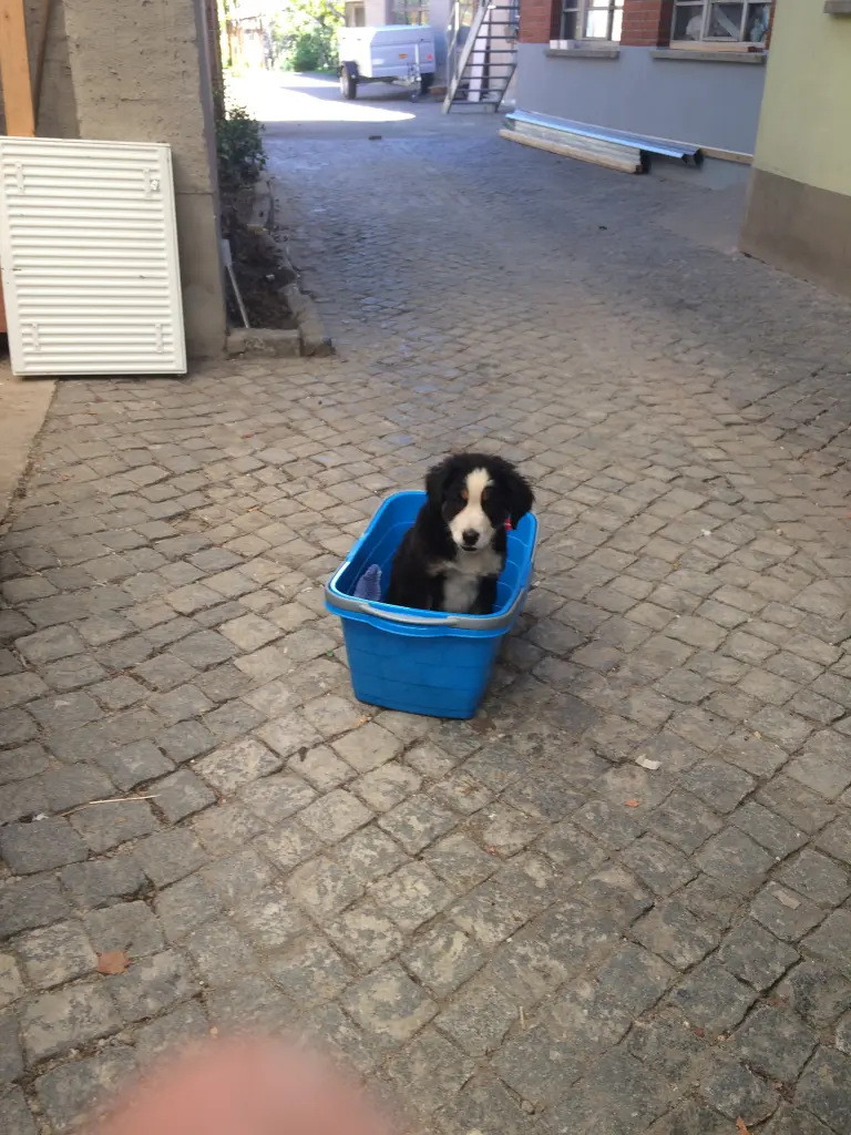 Bild von Titus