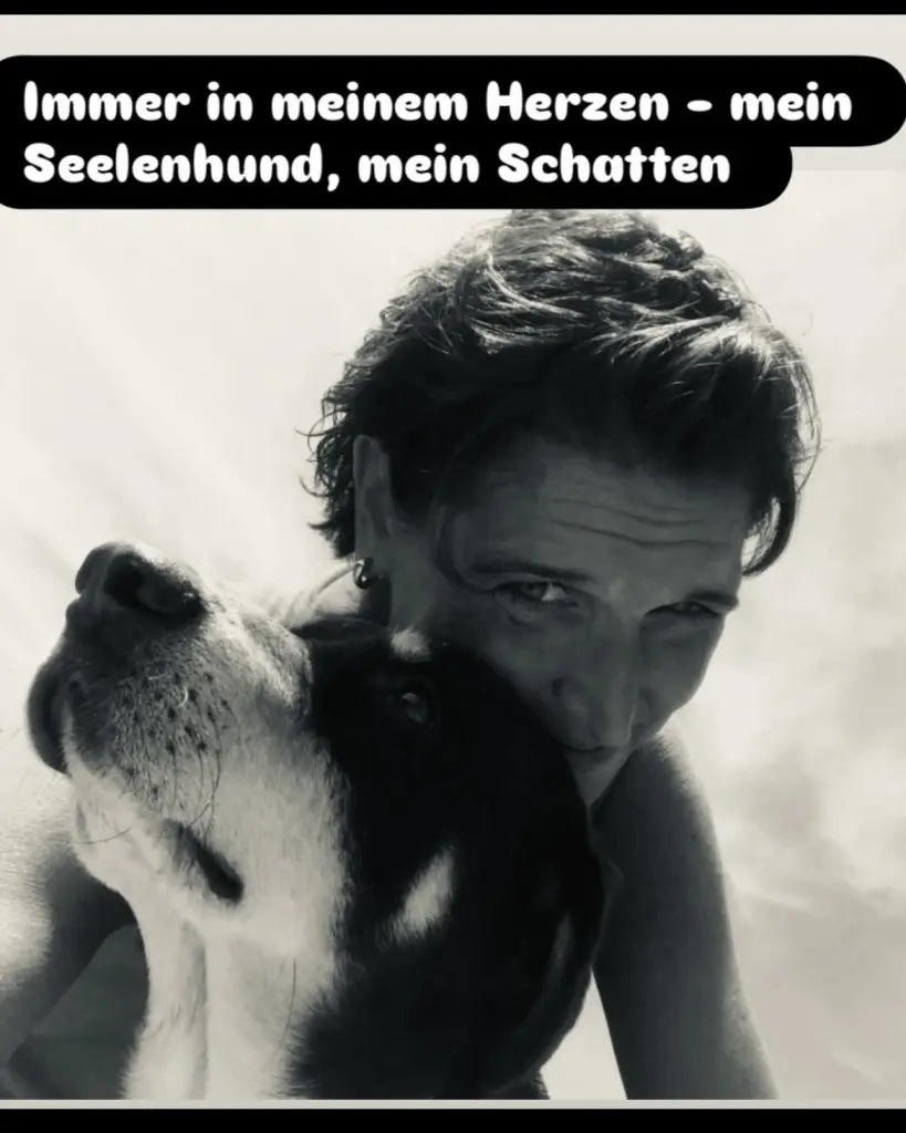Bild von Fritz