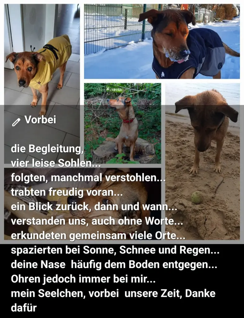 Bild von Cara