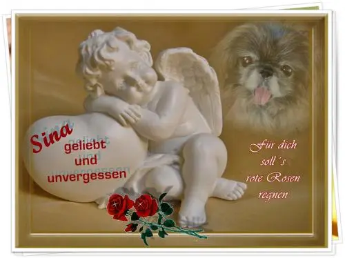 Image from dich, mein liebes Sina-Sternchen