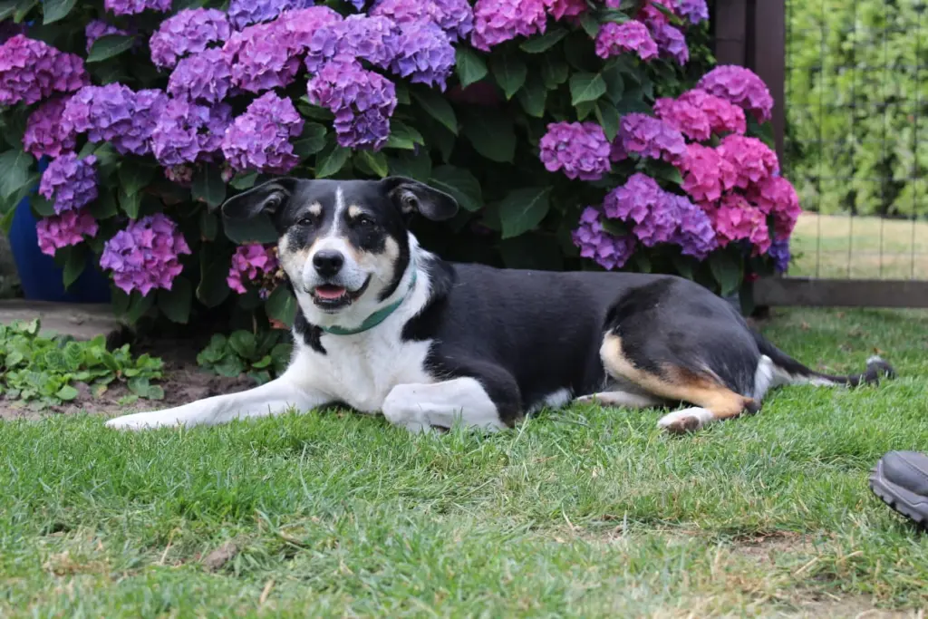 Bild von Lotte