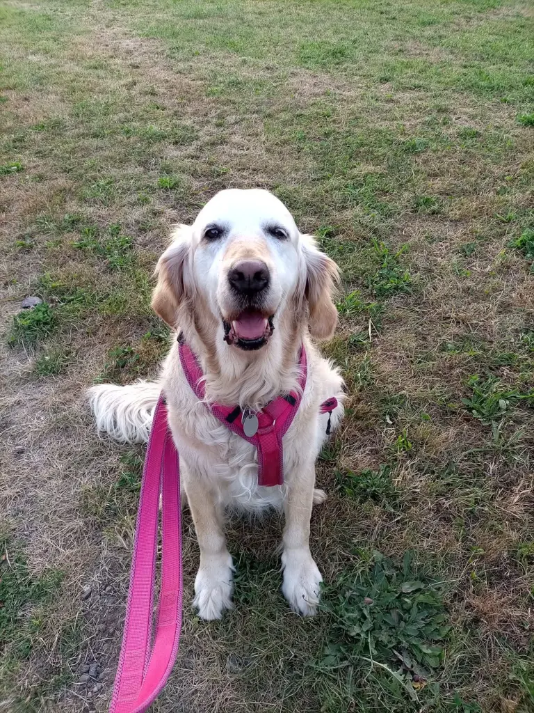 Bild von Maya