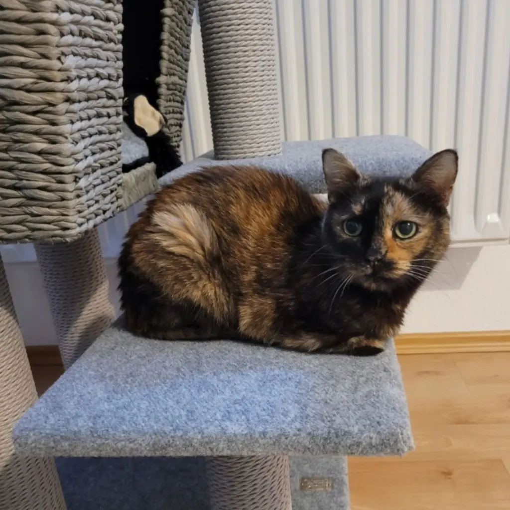 Meine kleine Seele