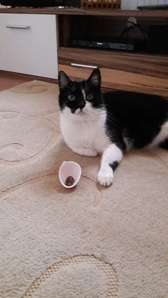 Bild von Sebastian