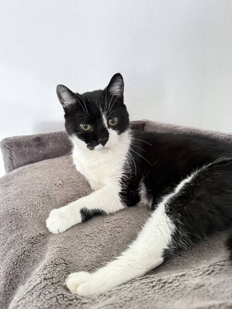 Bild von Sebastian