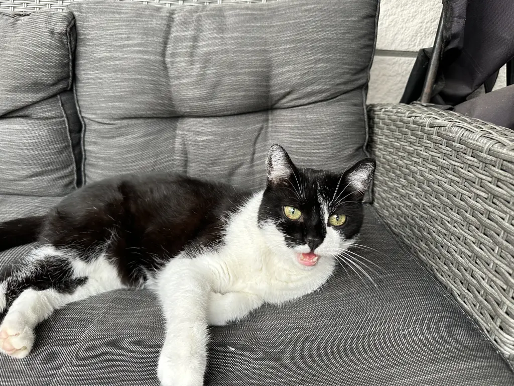 Bild von Sebastian