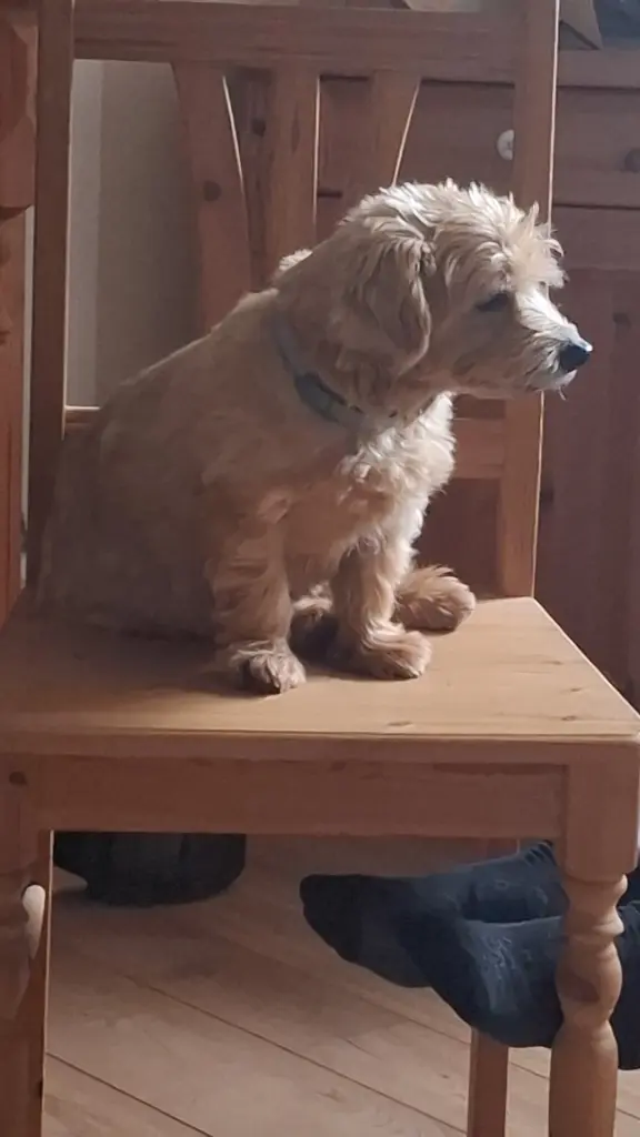 Bild von Chily
