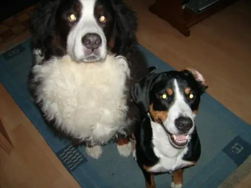 Image from Unbekannt