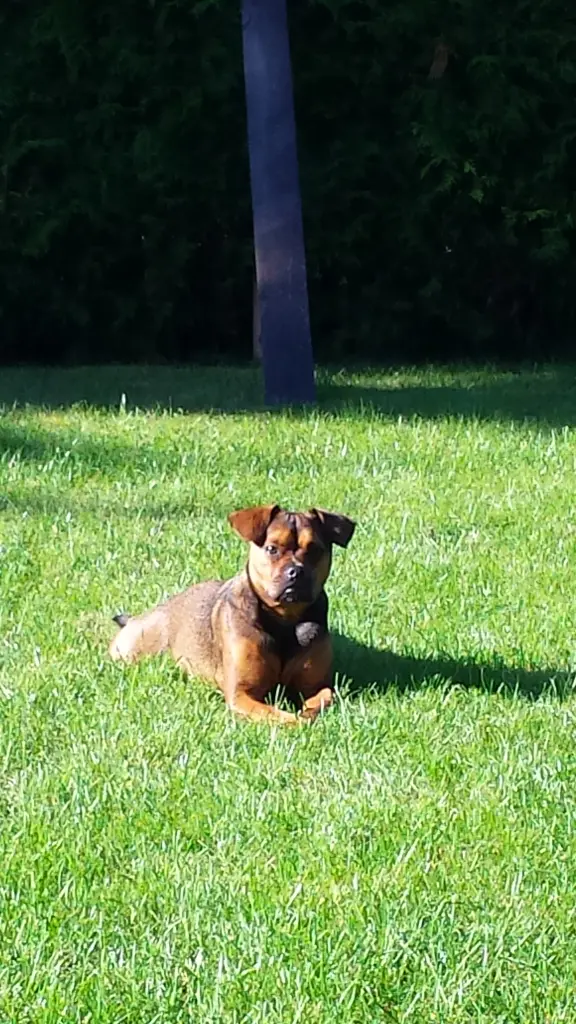 Sonne ist doch einfach herrlich