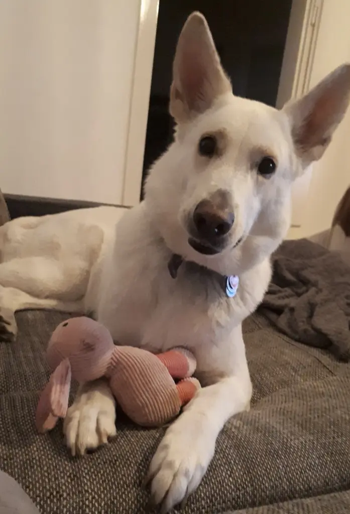 Bild von Lilly
