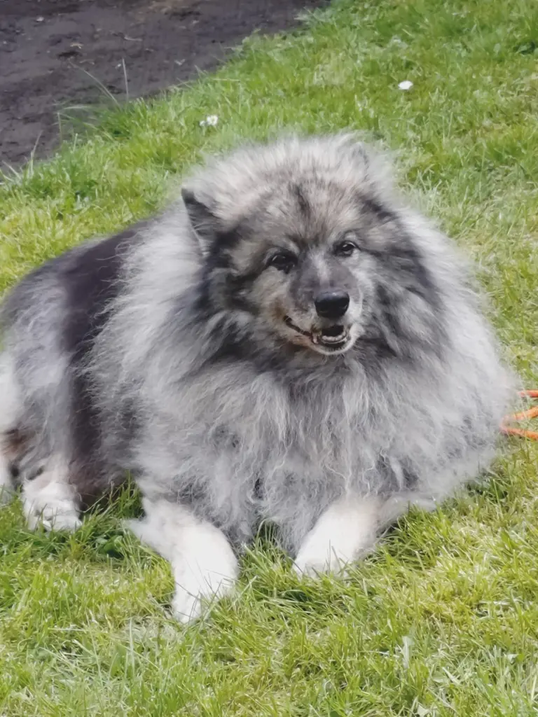 Bild von Baron