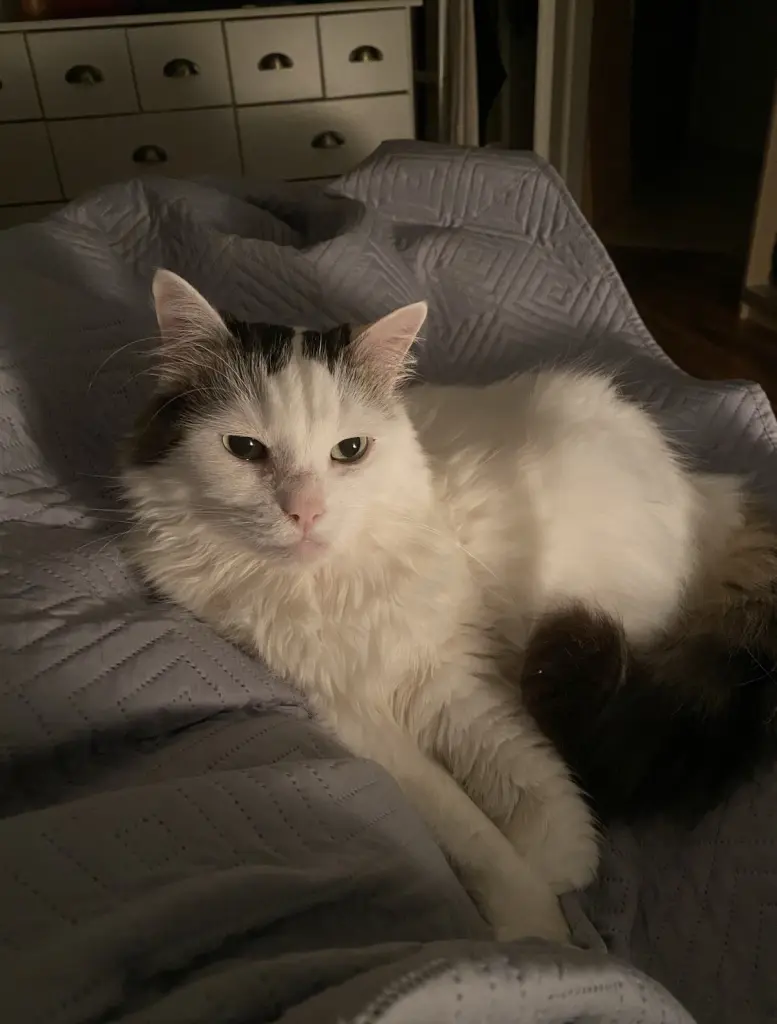 Bild von Finley