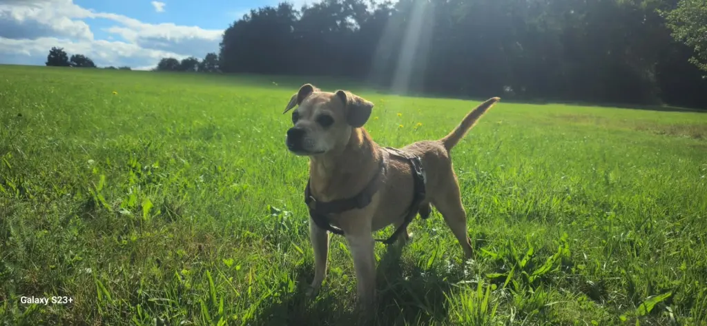 Bild von Charly