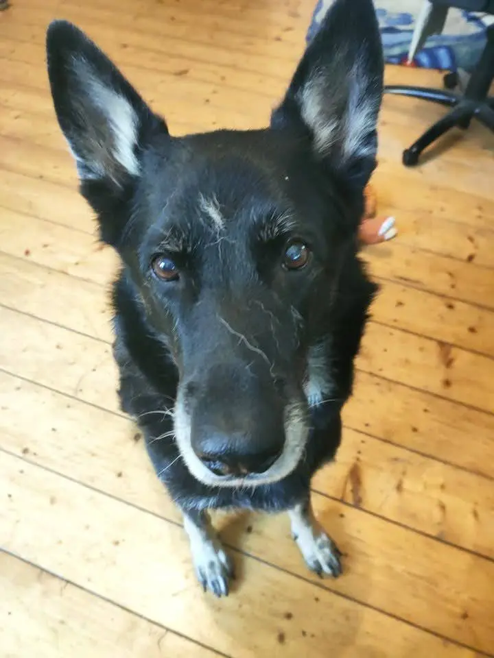 Bild von Shila