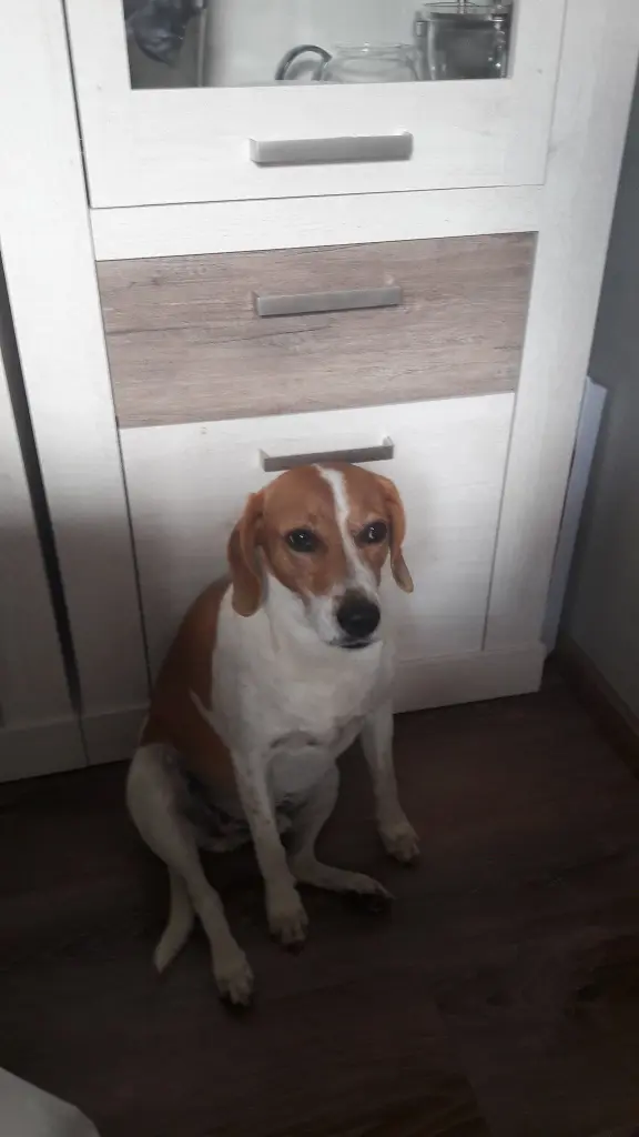 Bild von Ben