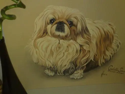 Image from ? das Liebste in meinem Leben ?