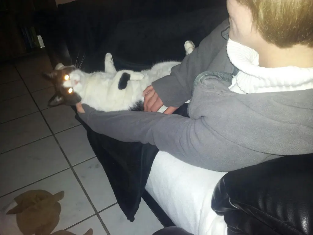 Bild von Ronny