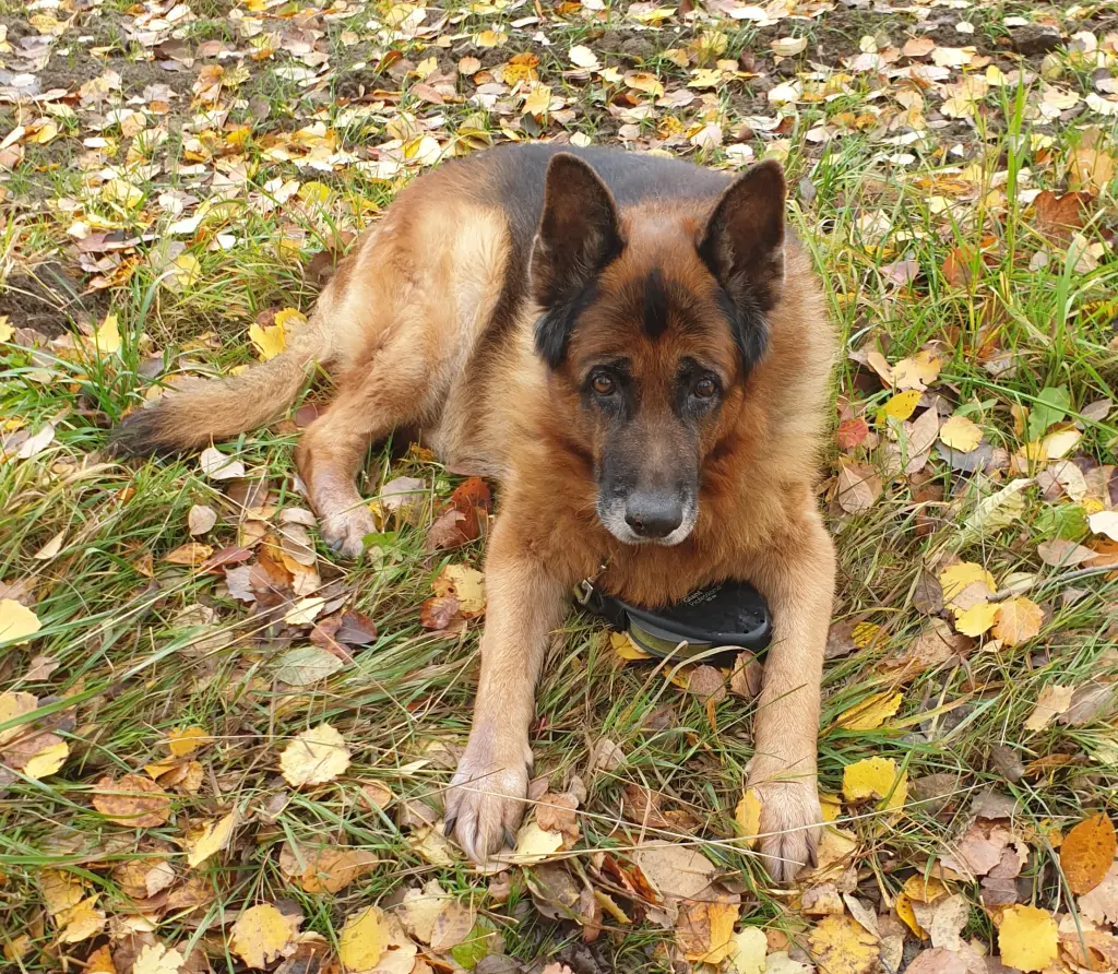 Bild von Jack
