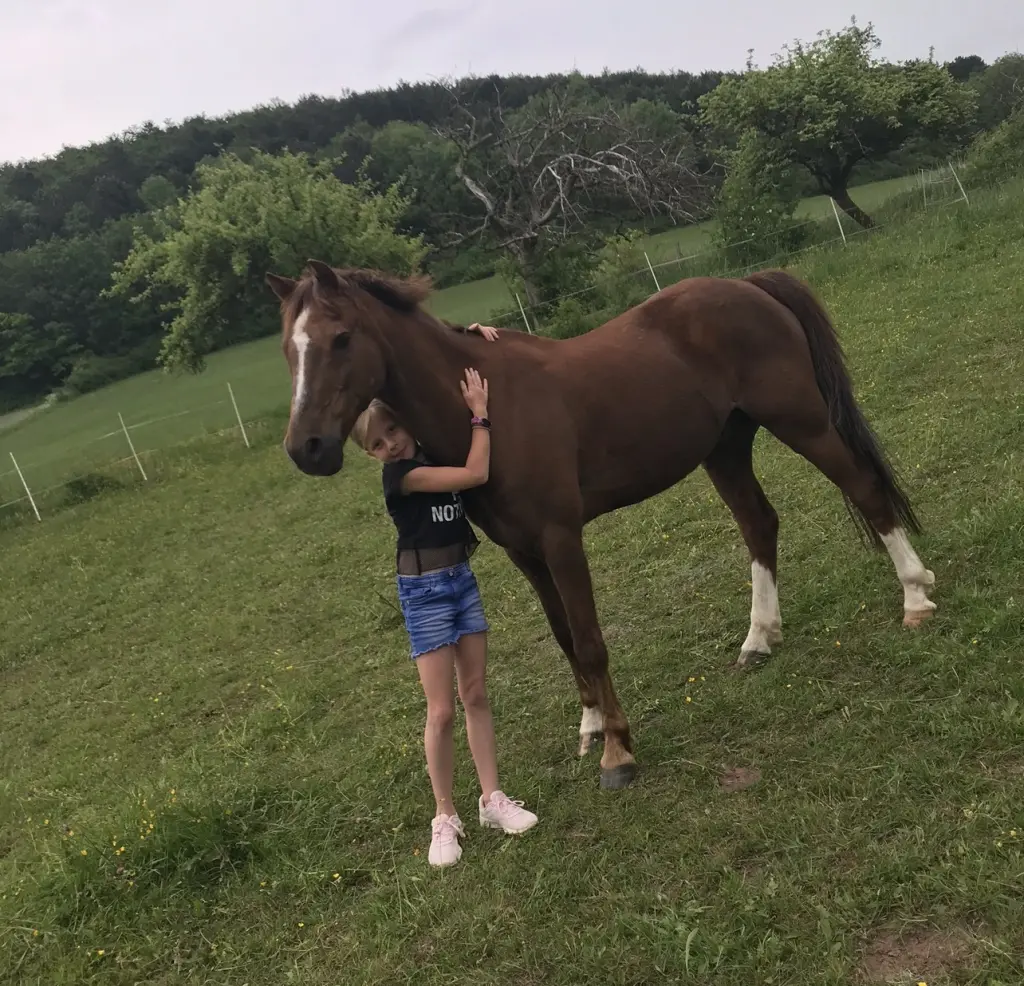 Bild von Tino