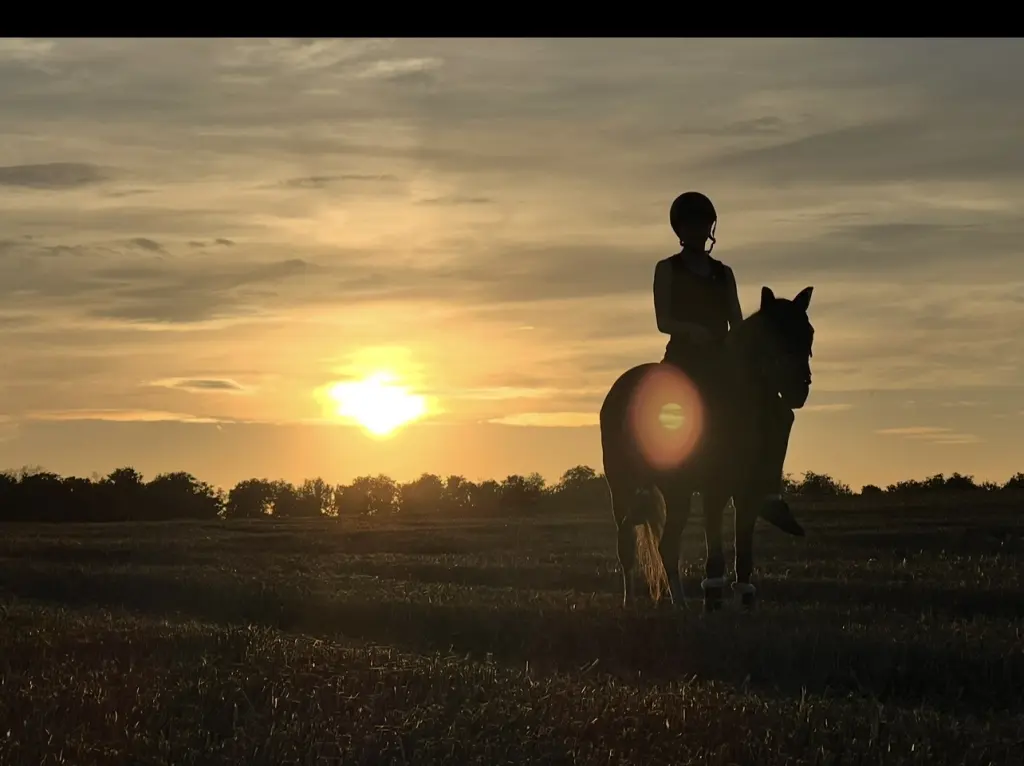 Sonnenuntergänge ❤️