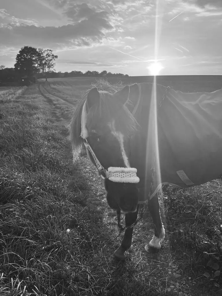 Mach´s gut Tino ❤️