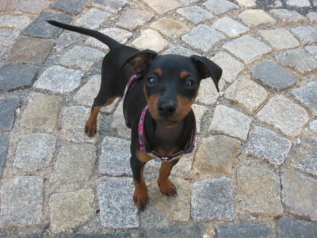 Bild von Cassy
