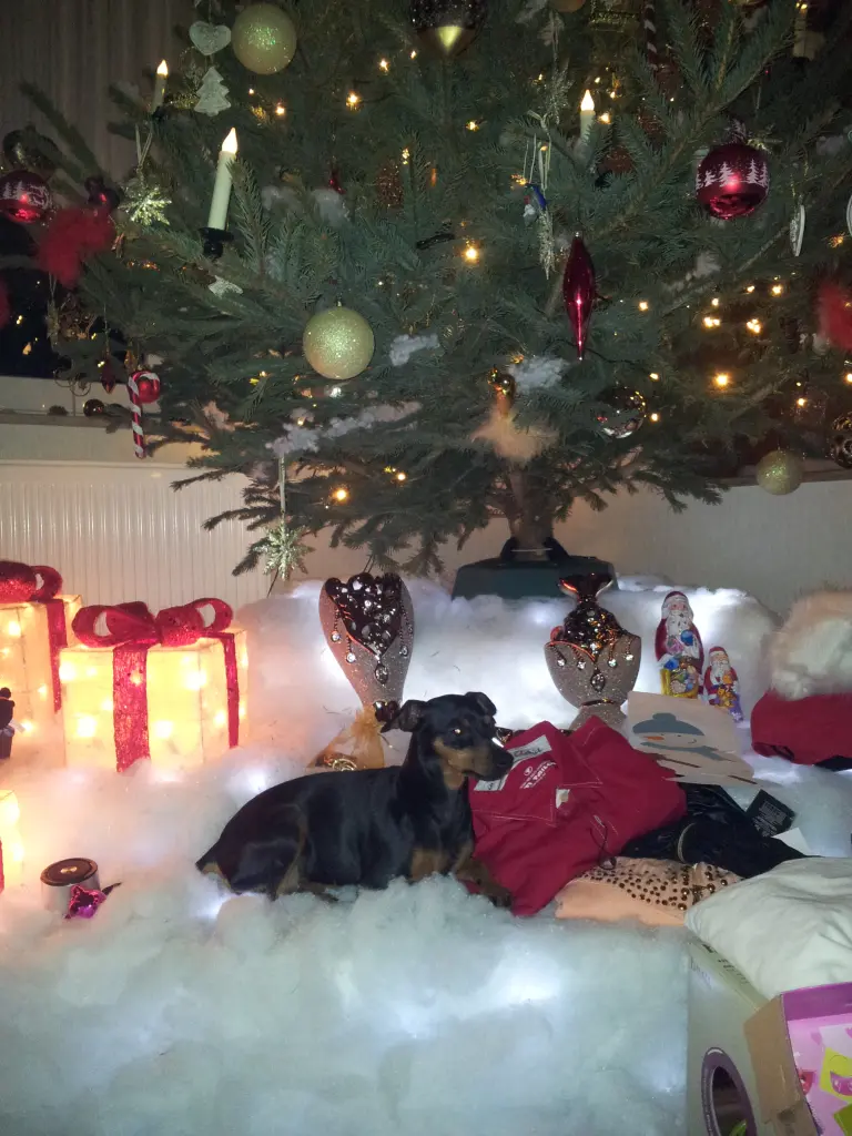 Bild von Cassy