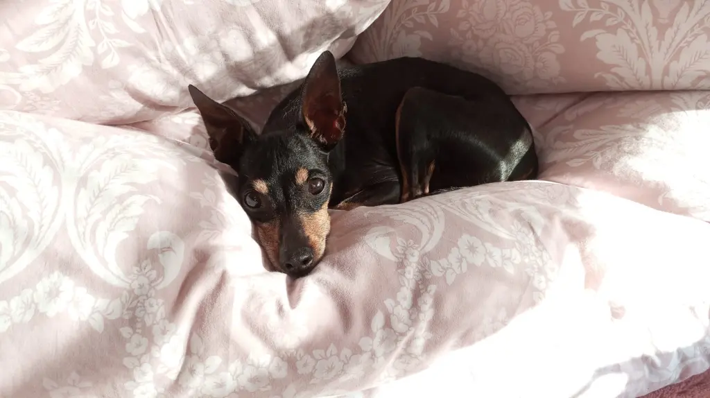 Bild von Cassy