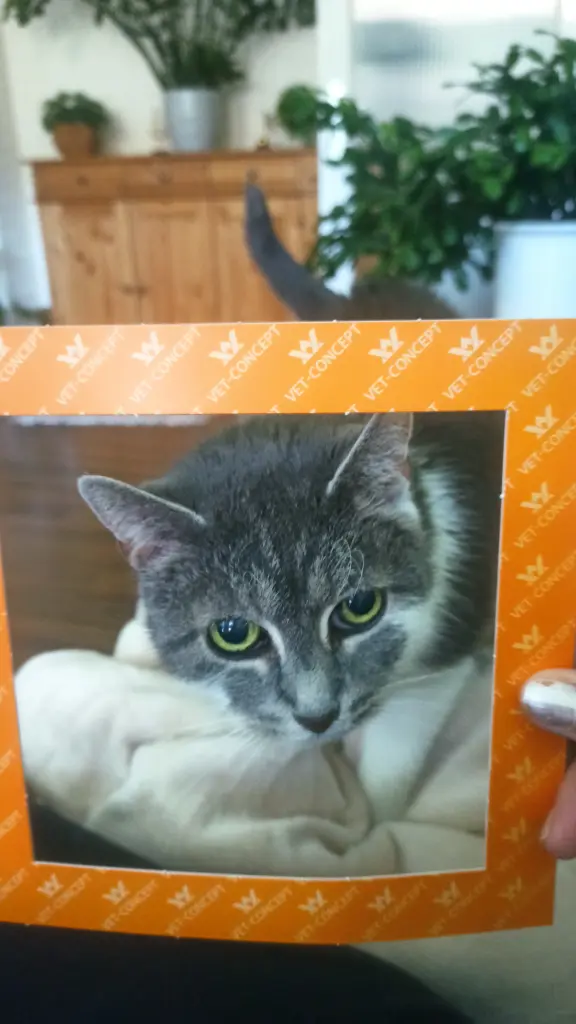 Bild von Kimmy