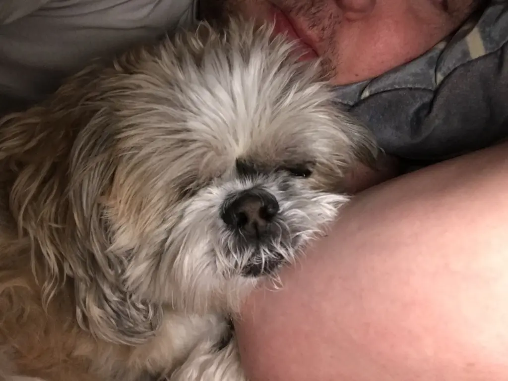 Kuschelzeit