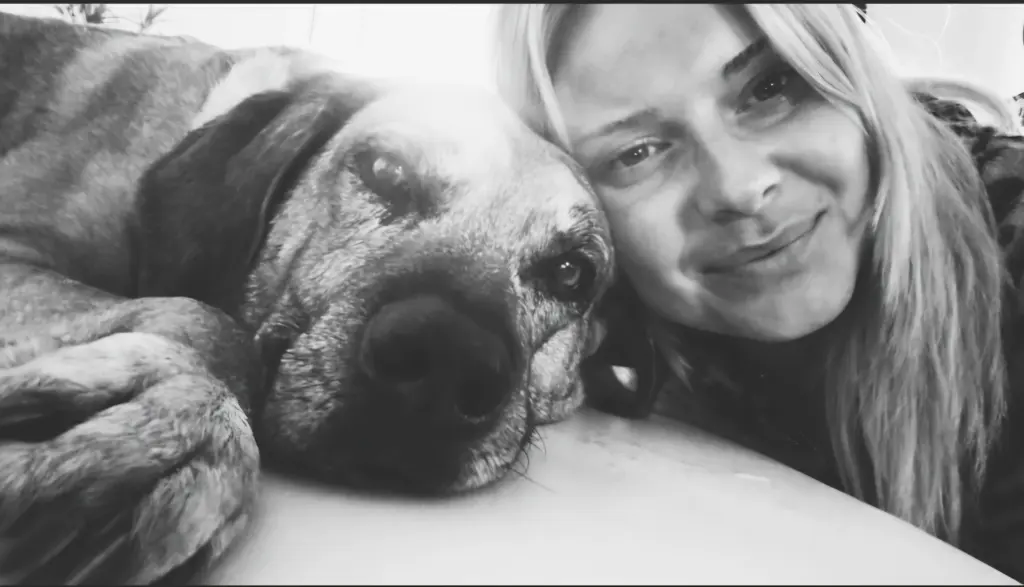 Bild von Chiko