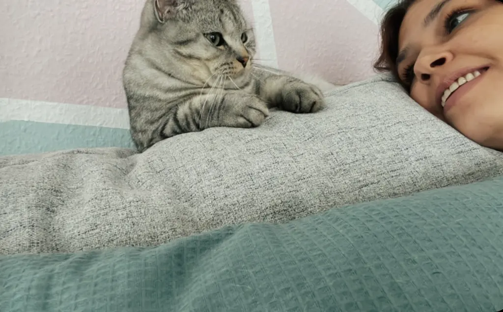 Bild von Cookie